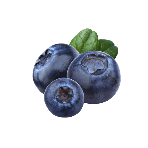 Blueberry - Merfruit